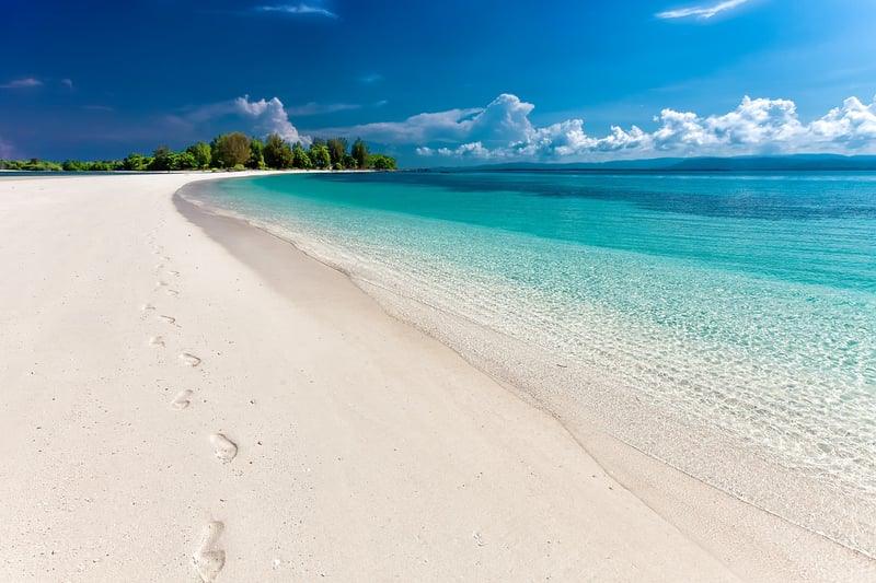 Beach Escapades